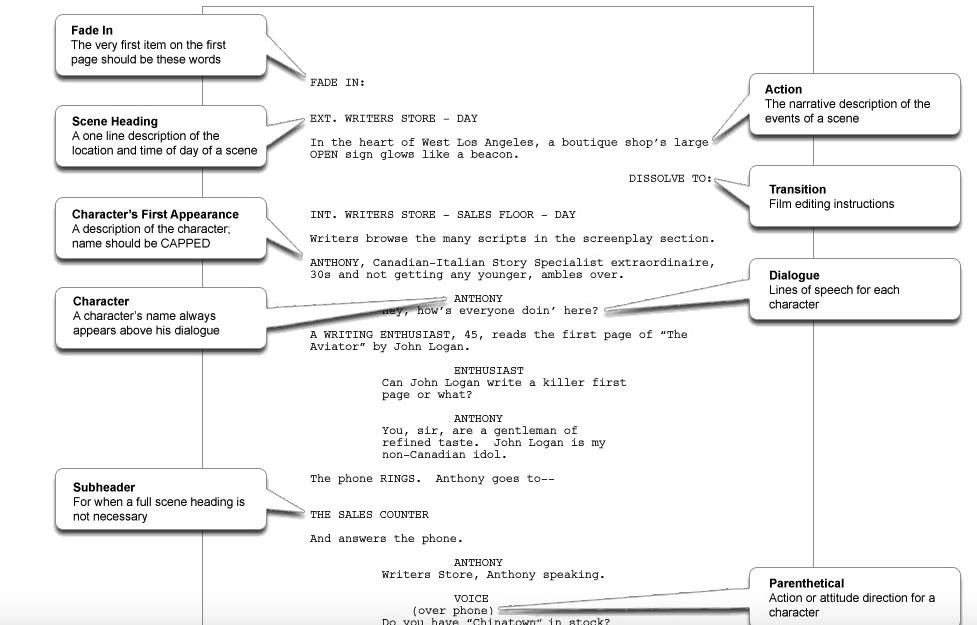 Screenwriting Instructions